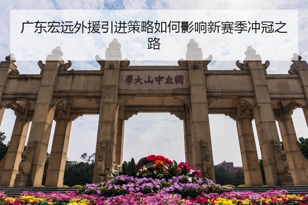 guang-dong-hong-yuan-wai-yuan-yin-jin-ce-lve-ru-he-ying-xiang-xin-sai-ji-chong-guan-zhi-lu-2-182.jpg