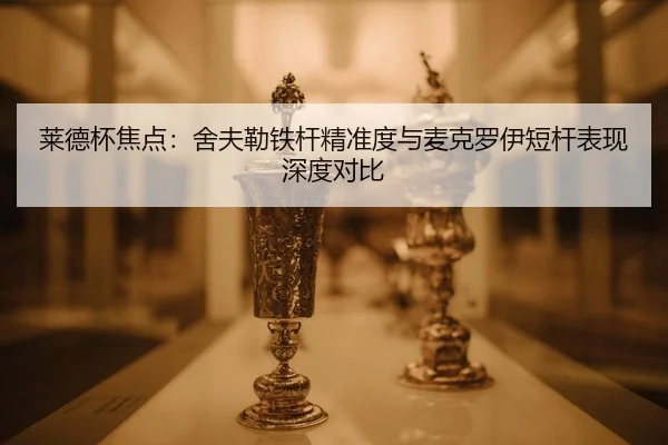 lai-de-bei-jiao-dian-she-fu-lei-tie-gan-jing-zhun-du-yu-mai-ke-luo-yi-duan-gan-biao-xian-shen-du-dui-bi-2-613.jpg