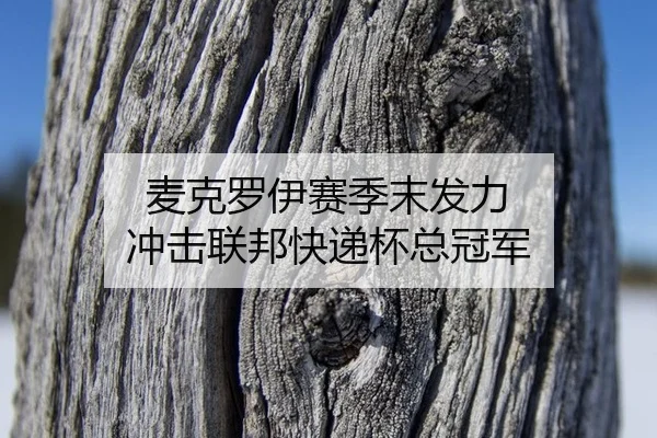 mai-ke-luo-yi-sai-ji-mo-fa-li-chong-ji-lian-bang-kuai-di-bei-zong-guan-jun-2-464.jpg