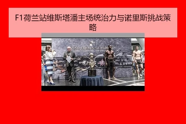 he-lan-zhan-wei-si-ta-pan-zhu-chang-tong-zhi-li-yu-nuo-li-si-tiao-zhan-ce-lve-3-988.jpg