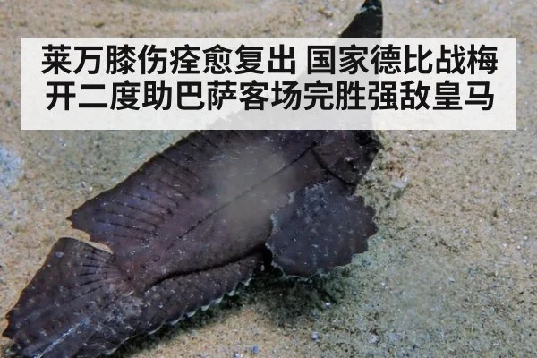 莱万膝伤痊愈复出 国家德比战梅开二度助巴萨客场完胜强敌皇马